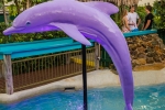 Putt Putt Mermaid Beach - Waterways Cove - Dolphin